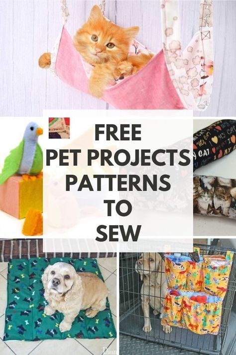 Cat Bed Pattern, Cat Projects, Dog Sewing Patterns, Pet Projects, Sewing Machine Projects, Designer Dog Collars, Fancy Dog, Free Sewing Patterns, Dog Clothes Patterns