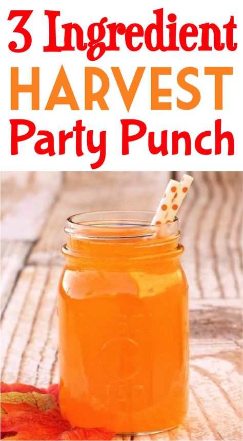 Party Drinks For a Crowd Entertaining Night! Punch recipes non alcoholic are so easy! Green Punch Recipes, Fall Punch Recipes, Party Punch Recipe, Thanksgiving Punch, Party Punch Recipes, Korean Dessert, Alcoholic Desserts, Punch Drinks, Thanksgiving Drinks