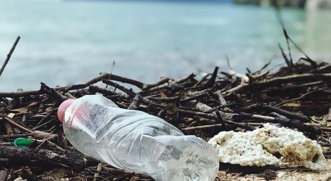 5 ways to avoid single-use plastic. Did you know that plastic takes roughly 450 years to decompose? Or that billions of pieces of plastic are congesting our oceans and rivers, all the while piling up on land? Researchers predict that by the year 2050, there will be 12 billion tonnes of plastic waste in the natural environment. Ocean Pollution, Waste Disposal, Crypto News, Sunday School Lessons, Plastic Pollution, Recycled Bottles, School Lessons, Plastic Waste, Machu Picchu