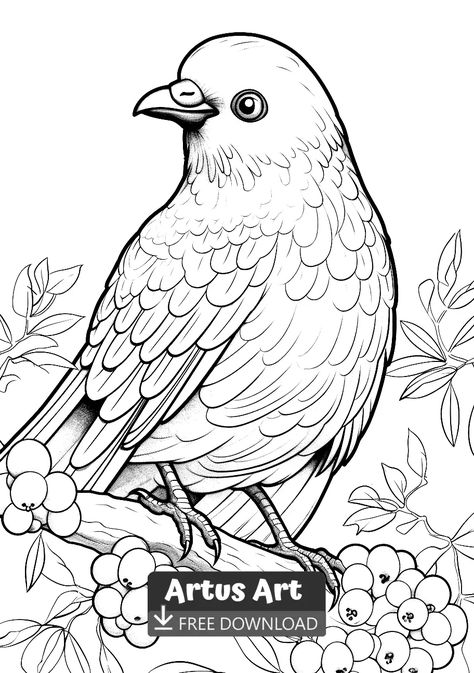 Bowerbird Coloring Page - Free PDF Download Coloring Page. Look at this amazing Awesome Bald eagle. Grab your colored pencils and get your free copy of this coloring page. #freedownload #bowerbirdcoloringpage #bowerbird Bird Coloring Pages For Adults, Birds Coloring Pages Free Printable, Embroidery Birds, Coloring Page Free Printable, Bird Coloring Pages, Bird Quilt, Floral Chandelier, Fall Coloring Pages, Art Attack