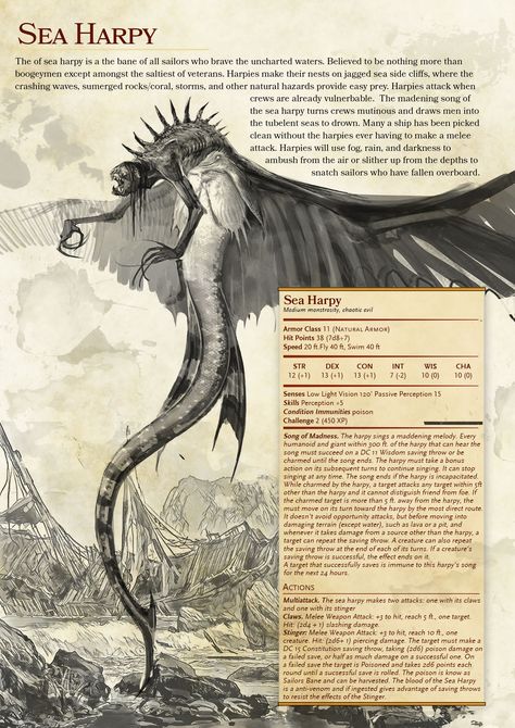 Bored at work dungeons and dragons dnd5e homebrew approbation of a Witcher Creature and a Harpy. Pirate Mythical Creatures, Custom Dnd Creatures, Dnd Dragons Homebrew, The Witcher Creatures, Sea Monster Dnd 5e, Pirate Dungeons And Dragons, Harpy Dnd 5e, River Siren Dnd, Witcher Dnd 5e