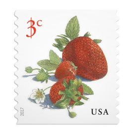 Postcard Stamps Vintage, Strawberry Postage Stamp, Cool Stamps Postage, Vintage Mail Stamps, Us Postage Stamps, Post Stamp Art, Vintage Christmas Stamps, Postage Stamp Drawing, Aesthetic Stamps