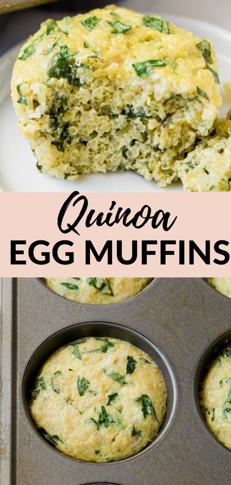 Protein Breakfast Easy, Egg Quinoa, Egg Breakfast Muffins, Leftover Quinoa, Eggs Protein, Quinoa Egg, Egg And Grapefruit Diet, On The Go Breakfast, Egg Muffins Breakfast