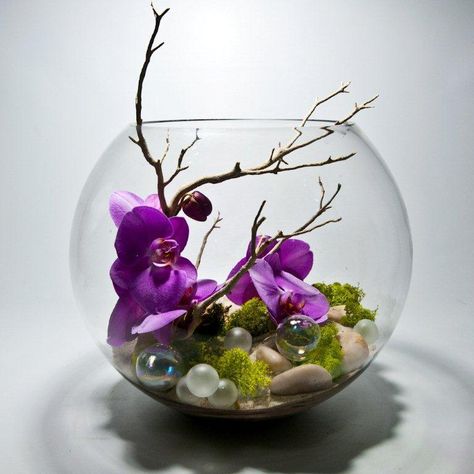 Centerpieces Orchid Bowl, Arreglos Ikebana, Holiday Floral Arrangements, Orchid Flower Arrangements, White Flower Arrangements, Ikebana Flower Arrangement, Home Floral Arrangements, Orchid Arrangements, Flower Arrangements Simple