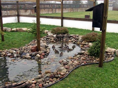 Duck Enclosure, Reban Ayam, Duck Pens, Backyard Ducks, Katt Grejer, Duck Coop, Duck Farming, Pet Ducks, Duck House