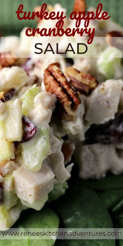 Cranberry Pecan Salad, Turkey Salad Sandwich, Bread Turkey, Salad With Pecans, Apple Cranberry Salad, Turkey Salad Recipe, Turkey Apple, Takeout Recipes, Silk Slippers