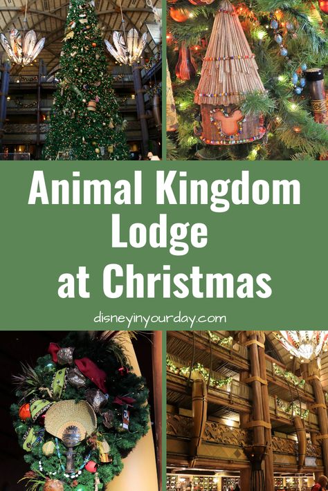 Christmas at Animal Kingdom Lodge - Disney in your Day Animal Kingdom Christmas, Lodge Christmas Tree, Disney Christmas Vacation, Disney Animal Kingdom Lodge, Disney Christmas Decorations, Christmas Lodge, Disney World Christmas, Disney Christmas Shirts, Disney World Hotels