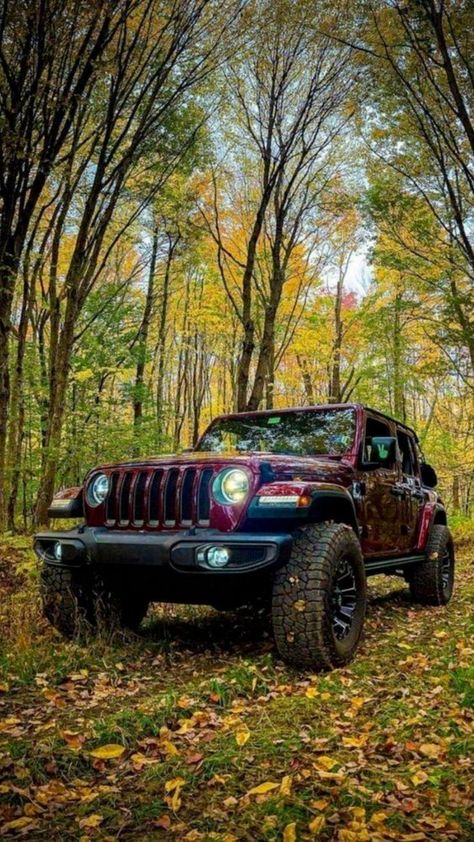 Find the perfect presents for Jeep enthusiasts with our 'Jeep Joy' board! Dive into a selection of top gifts that every Jeep lover will adore. #jeep #jeeplover #jeepgifts Thar Car, Jeep Lover Gifts, Bakgerand Photo, Jeep Wallpaper, Meta Ads, Jeep Gifts, Jeep Photos, Youtube Promotion, Rain Pictures