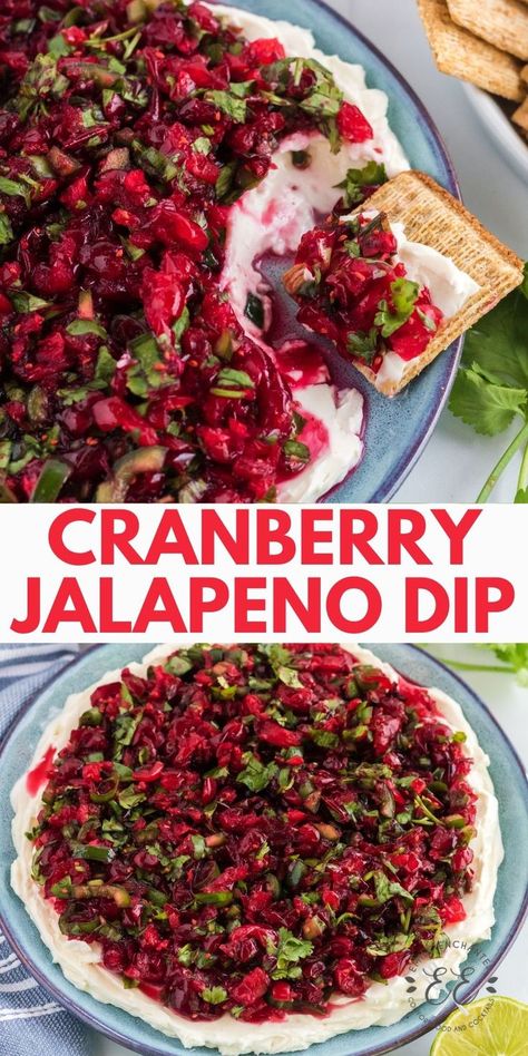 Cranberry Jalapeno Cream Cheese, Cranberry Jalapeno Cream Cheese Dip, Recipes For Dinner Party, Cranberry Jalapeno Dip, Jalapeno Dip Recipes, Jalapeno Cream Cheese Dip, Jalapeno Cream Cheese, Cranberry Jalapeño, Cream Cheese Recipes Dip