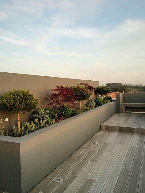 Roof Garden Ideas, Luxurious Rooftop, Terrace Designs, Green Roof Garden, Green Canopy, Roof Terrace Design, Rooftop Gardens, Roof Garden Design, Enchanting Garden