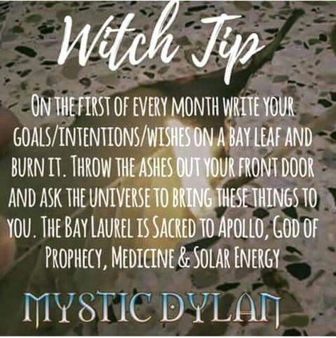 First day of each month... First Of The Month, Witch Board, Witch Garden, Wiccan Witch, Magick Spells, Eclectic Witch, Wiccan Spell Book, Witch Spell Book, Witchcraft For Beginners