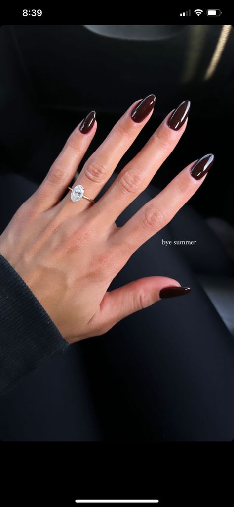 Dark Brown Fall Nails, Fall Nails Dark, Dark Brown Nails, Brown Fall Nails, Fall Nails 2023, Nails Dark, Milky Nails, Casual Nails, Brown Fall