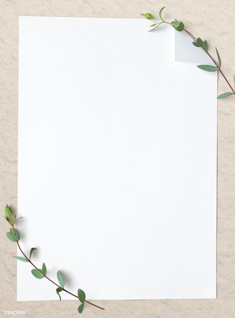 Blank plain white paper template | premium image by rawpixel.com / KUTTHALEEYO White Background Plain, White Paper Template, Blank Background, Paper Background Design, Powerpoint Background Design, Instagram Background, Instagram Frame Template, Floral Border Design, Plains Background