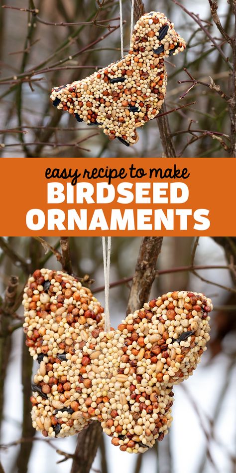 Diy Birdseed Ornaments, Bird Seed Ornaments Recipe, Birdseed Ornaments, Seed Craft, Bird Seed Ornaments, Bird Feeder Craft, Bird Treats, Homemade Bird Feeders, Christmas Gift Basket Ideas