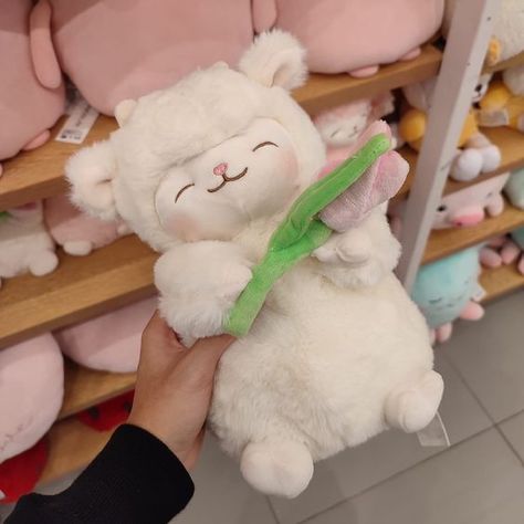 Miniso Plushies Lamb With Tulip, Smiling Lamb, Miniso Plushies, Lamb Plushie, Teddy Bear Wallpaper, Cute Squishies, Cute Lamb, Cuddle Buddy, Kawaii Plushies