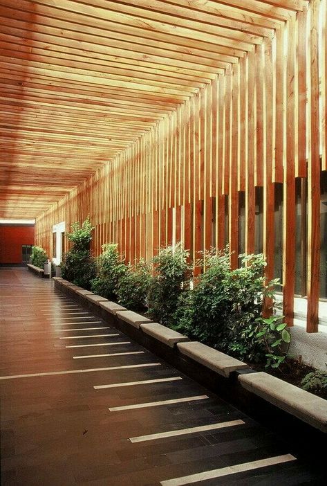 Building With Wood, Pergola Design, Wood Architecture, Lobby Design, Shade Structure, Design Exterior, Pergola Designs, The Ceiling, Light Architecture