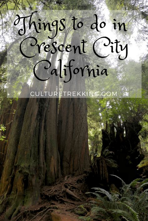 Crescent City California Things To Do In, Crescent City Theories, Isaiah Tiberian Crescent City, Redwoods Vacation, Crescent City Mystics, Lunathion Crescent City Map, Crescent City California, Crescent City Ca, Jedidiah Smith Redwoods State Park