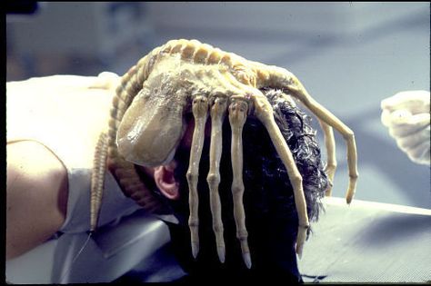 Alien! Face Hugger, Alien 1979, Alien Face, Aliens Movie, Best Love Stories, Alien Vs Predator, Film Studies, Alien Vs, Movie Monsters