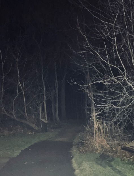 Scary Athestic, Eerie Forest Aesthetic, Dark Forest Scary, Scary Camp Aesthetic, Dark Horror Aethstetic, Spooky Woods Aesthetic, Forest Horror Aesthetic, Scary Woods Aesthetic, Scarycore Aesthetic