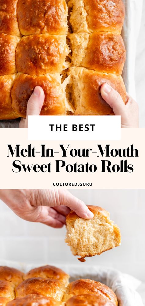 Sweet Potato Rolls Recipe, Potato Dinner Rolls, Quick Dinner Rolls, Sweet Potato Rolls, Sweet Potato Dinner, Buttery Rolls, Vegan Egg Substitute, Potato Rolls, Sweet Potato Bread