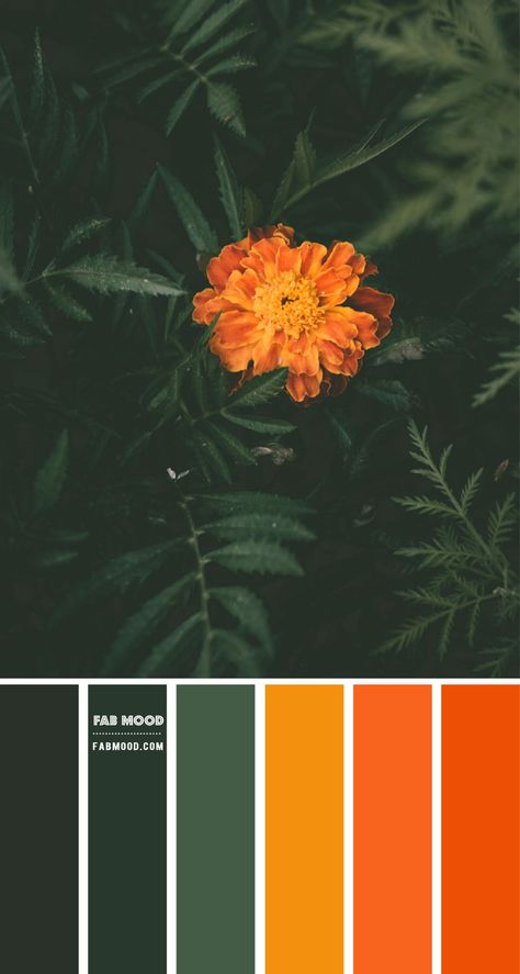 Color inspiration images Archives 1 - Fab Mood | Wedding Colours, Wedding Themes, Wedding colour palettes Emerald Green Copper Color Palette, Emerald Brown Color Palette, Warm Green Color Palette, Forest Green Color Scheme, Orange And Green Bedroom, Emerald Color Palette, Green And Orange Bedroom, Forest Green Color Palette, Emerald Green And Orange