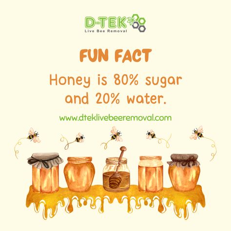 Did you know honey is 80% sugar & 20% water?! 🤗 What have you learned about bees lately? How Bees Make Honey, Honey Facts, Bee Life Cycle, Bee Removal, Lotus Rangoli, Honey Brand, Honey Benefits, Bees And Wasps, English Fun