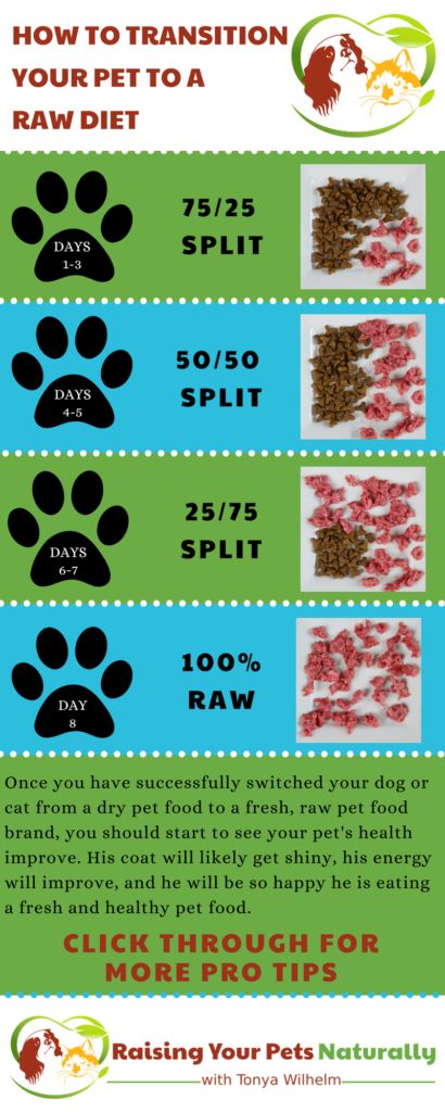 Raw Cat Food Diet, Caramel Food, Raw Cat Food, Raw Dog Food Diet, Raw Cat Food Recipes, Homemade Cat Food, Pets Food, Cats Food, Raw Pet Food