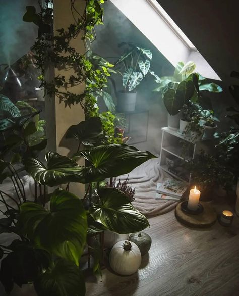 Dark Plant Bedroom Aesthetic, Dark Room With Plants, Plants In Dark Rooms, Dark Plant Room, Dark Plant Aesthetic, Jungle Room Aesthetic, Green Apartment Aesthetic, Wall Plant Ideas, Home Interior Design 2023