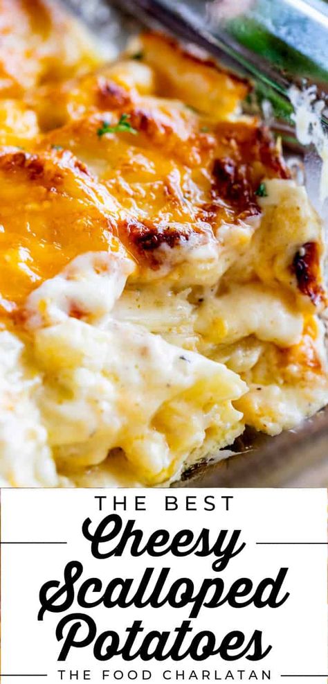 Cheesy New Potatoes Recipes, Scalloped Potatoes With Brie Cheese, Best Ever Scalloped Potatoes Recipe, Thanksgiving Scalloped Potato Recipes, Cheese Scalloped Potatoes And Ham, Scalloped Potatoes Au Gratin Recipes, Scalloped Potatoes Best, Creamy Scalloped Potatoes And Ham, Scalloped Potatoes With Canned Potatoes