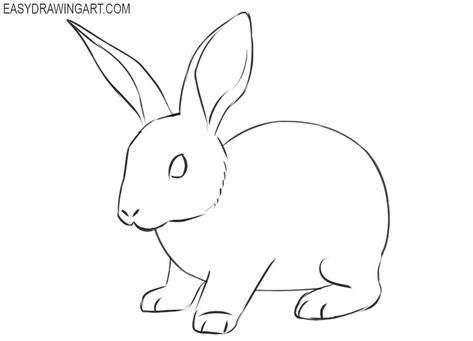 How to Draw a Rabbit | Easy Drawing Art Rabbit Sketch Simple, How To Draw A Rabbit Easy, Rabbit Simple Drawing, Bunny Sketch Simple, How To Draw A Rabbit, Simple Rabbit Drawing, Rabbit Drawing Simple, How To Draw A Bunny, Rabbit Easy Drawing