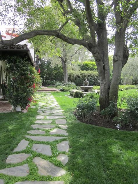 How To Improve Your Garden – Comfort Spring #gardening #landscaping #gardenplan #improvegarden #gardenchanges Backyard Walkway, Walkway Landscaping, Pathway Landscaping, Garden Stepping Stones, Garden Walkway, Stone Path, Have Inspiration, Garden Pathway, Beautiful Backyards