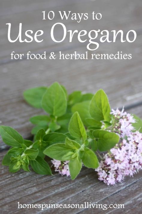 Oregano Flowers, Oregano Recipes, Oregano Plant, Types Of Herbs, Seasonal Living, Herb Gardens, Homemade Stuff, Herb Recipes, Herbal Healing