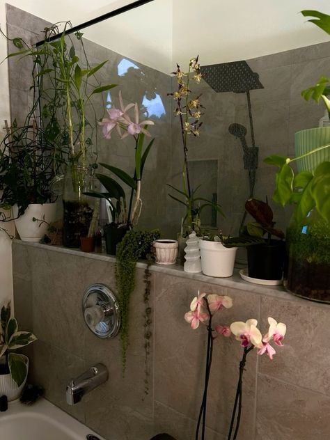 Garden Bathroom Decor, Plant Apartment Aesthetic, Plants In Shower, Rooms With Plants, House Plant Aesthetic, Room Ideas Plants, Plant Sanctuary, Plant Mom Aesthetic, Home With Plants