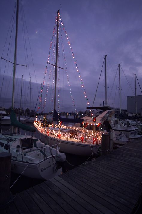 My Love Photo, Sailboat Interior, Boat Parade, Florida Christmas, Beachy Christmas, Boat Decor, Nautical Christmas, Sail Boats, Light Night