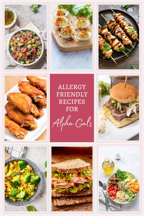 Alpha Gal Recipes, Alpha Gal, Beef And Pork, Marsala Chicken Recipes, Allergy Friendly Recipes, Food Allergy, Recipe Roundup, Allergy Friendly, Dairy Free Recipes