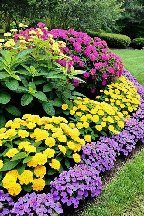 Full Sun Flower Bed Ideas Front Yards Drought Tolerant, Hardy Perennials Full Sun, Rock And Flower Garden Ideas, Perinnals Flowers Full Sun, Full Sun Flowers That Bloom All Summer, Flower Beds In Front Of House Full Sun, Full Sun Landscaping Ideas Front Yard, Morning Sun Plants, Outdoor Plants Full Sun