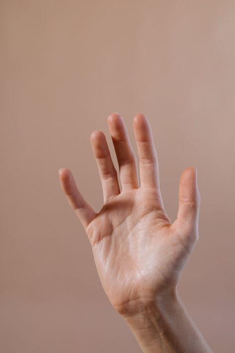 Hand raising up in the air | premium image by rawpixel.com / McKinsey Hand Anatomy, Reference Photos For Artists, Hand Photography, Hand Palm, Hand Drawing Reference, Hand Images, Hand Photo, Hand Reference, Human Reference