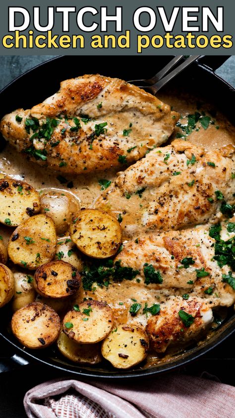 Easy Dutch Oven Chicken and Potatoes is delicious! Made with a delicious Boursin cheese cream sauce, this recipe is seriously addictive! Chicken And Potatoes Dutch Oven Recipes, Easy Chicken Dutch Oven Recipes, Oven Chicken And Potatoes, Dutch Oven Chicken Thighs, Dutch Oven Chicken Breast, Boursin Chicken, Boursin Recipes, Dutch Oven Chicken, Chicken Wing Recipes Baked