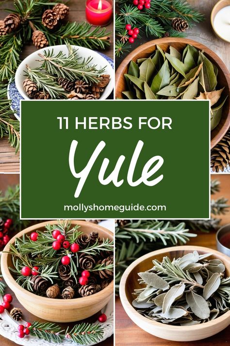 Discover the magic of Yule winter traditions with a selection of best herbs for protection. Dive into the enchanting world of Christmas and winter holiday herbs, explore the mystical properties of Pine and Rosemary. Create your own herbal tea blend or dream tea recipe using these powerful healing herbs. Embrace ancient Winter solstice rituals and tap into the wisdom of plant medicine with our guide to Herbs for Yule. Yule Herbs And Spices, Winter Solstice Spell Jar, Winter Solstice Herbs, Yule Side Dishes, Crystals For Yule, Winter Solstice Recipes Pagan, Yule Meals Winter Solstice, Yule Simmer Pot Recipes, Traditional Yule Recipes