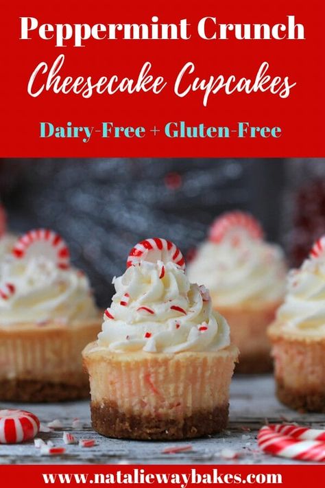 Gluten Free Peppermint Cheesecake, Peppermint Crisp Cheesecake, Gingerbread Mini Cheesecakes, Candy Cane Mini Cheesecakes, Cheesecake Recipes Peppermint, Festive Holiday Desserts, Christmas Cheesecake, Gluten Free Graham Crackers, Peppermint Cheesecake