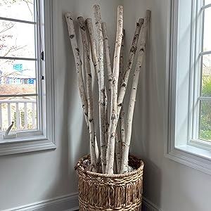 Amazon.com: Wilson White Birch Pole Pack (X-Large) Set of Birch Poles 1.5-2.5 inch Diameter x 6, 7, and 8 feet Tall Wood Stick Decor, Rustic Curtain Rods, Birch Tree Decor, Floral Arches, Wedding Arbors, Birch Logs, Frames Wall, Wall Displays, Birch Branches