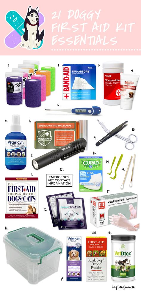 Animal First Aid Kit, Pet First Aid Kit Checklist, Cat First Aid Kit, Pet First Aid Kit Diy, Dog Starter Kit, Dog Emergency Kit, Dog Essentials For Car, Dog First Aid Kit Diy, First Aid Kit For Dogs