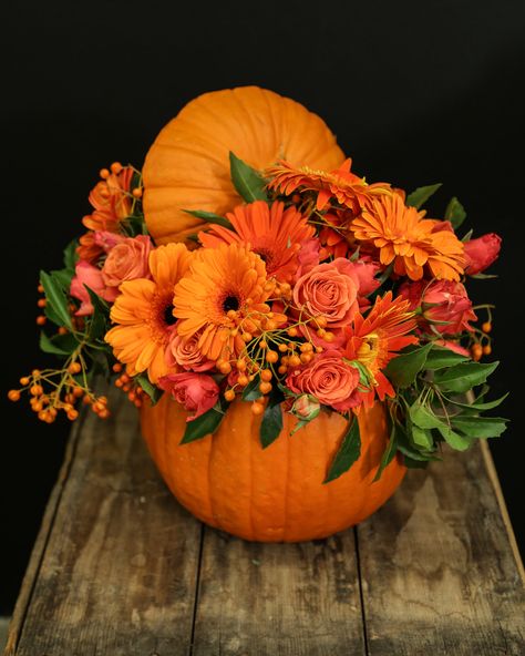 Halloween Flower Arrangements, Pumpkin Floral Arrangements, Deco Fruit, Holiday Floral Arrangements, Fall Pumpkin Centerpieces, Pumpkin Vase, Pumpkin Arrangements, Fall Flower Arrangements, Halloween Flowers