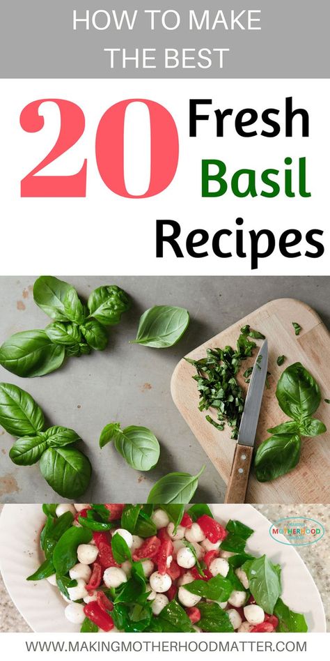 What To Make With Basil, Fresh Thyme Recipes, Recipes With Fresh Basil, Fresh Bruschetta, Fresh Basil Recipes, Chicken Basil, Basil Butter, Fresh Herb Recipes, Fried Cod