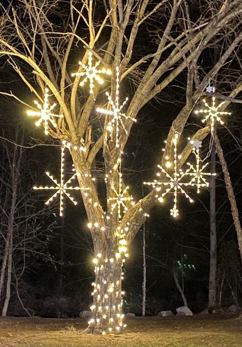 Tree Trunk Christmas Lights, Pvc Christmas Arch, Christmas Lights Outdoor Trees, Exterior Christmas Decorations, Outdoor Tree Decorations, Outdoor Christmas Light Displays, Outdoor Christmas Decorations Lights, Exterior Christmas Lights, Outdoor Tree Lighting