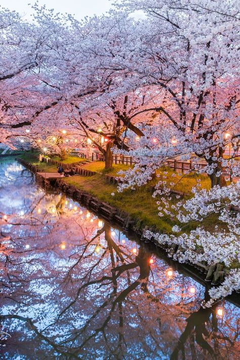 Where To See Cherry Blossoms In Japan & Where To Stay Cherry Blossom Japan, Tokyo Japan Travel, Pretty Landscapes, Japan Aesthetic, Aesthetic Japan, Dream Travel Destinations, Beautiful Places To Travel, Nature Aesthetic, Beautiful Places To Visit