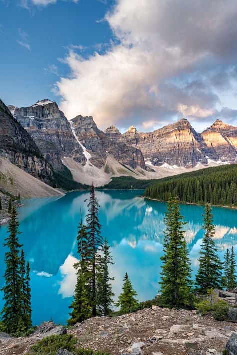 Banff National Park Canada, Moraine Lake, Little Italy, Canadian Rockies, Banff National Park, Beautiful Places In The World, Pine Trees, Canada Travel, Pretty Places