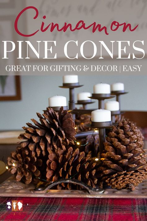 Nothing smells quite like the holidays than the warm scent of cinnamon. And if you've been to a home decor store lately, then chances are you've seen cinnamon scented pine cones or brooms. These take Scented Pine Cones, Cinnamon Broom, Cinnamon Smell, Diy Cinnamon, Scented Pinecones, Cinnamon Bark Essential Oil, Pinecone Crafts Christmas, Mini Pine Cones, Dried Orange Peel