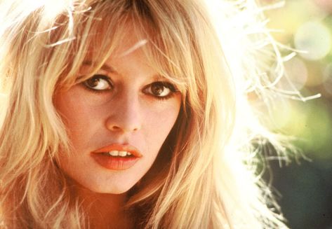 Le jour où… Brigitte Bardot a décidé darrêter le cin... - Telestar.fr Brigitte Bardot 60s, Douglas Kirkland, Brigitte Bardot Hair, Katherine Ross, Bardot Hair, Bridgette Bardot, French Pop, Bridget Bardot, Kate Jackson