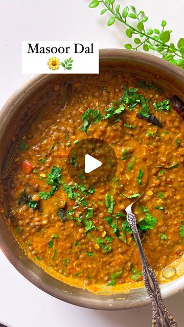 🍁Vinita Rathee 🍁 on Instagram: "Masoor Dal! Dal Chawal is an emotion for so many of us. And This masoor dal is Extremely comforting during winters. Recipe: 1) 1 cup sabut masoor dal 2) 2 cups of water 3) 1 tomato roughly chopped 4) 3 tbsp ghee(2 tbsp for tadka and 1 tbsp before serving) 5) 1 tsp cumin seeds 6) 5-6 black peppercorns 7) 3-4 cloves 8) 1 dried red chilli 9) 1 bay leaf 10) 7-8 curry leaves 11) pinch of hing 12) 1 tbsp finely chopped ginger 13) 2 tbsp finely chopped garlic 14) 1 tbsp finely chopped green chillies 15) 1 medium size onion finely chopped 16) spices- salt acc to taste ( add in parts some while cooking the dal and some with the tadka) 1/2 tsp turmeric powder, 1/2 tsp corriander powder, 1/2 tsp red chilli powder, 1/2 tsp garam masala. 17) 1/2 cup hot water 18) Masoor Dal Recipe Indian, Dal Curry Indian Recipes, Green Dal Recipe, Dal Chawal Recipe, Black Masoor Dal Recipe, Black Dal Recipe, Whole Masoor Dal Recipe, Dal Recipe Indian, Masoor Dal Recipe